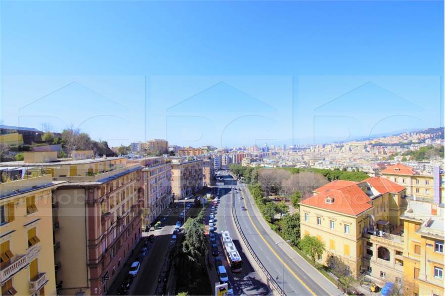 VISTA DALLA CASA
