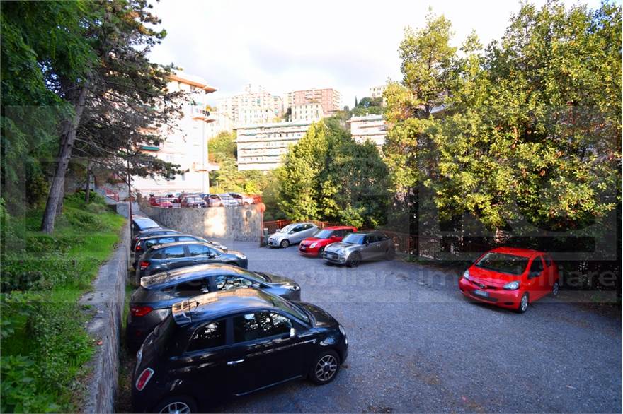 PARCHEGGIO NELLE VICINANZE