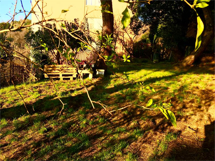 Il giardino 