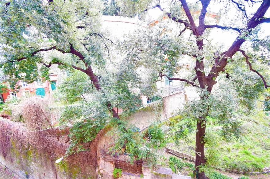 VISTA APERTA E NEL VERDE
