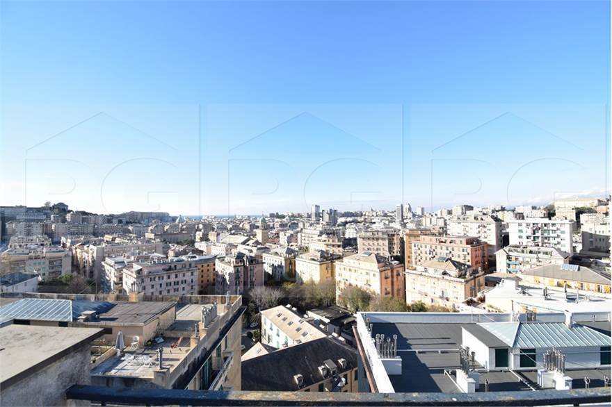 LA VISTA DAL TERRAZZO